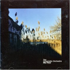 The Cinematic Orchestra - Ma Fleur